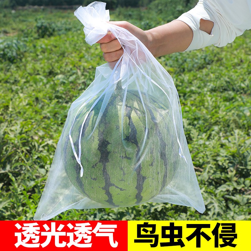 西瓜套袋防鸟防虫用袋透气透光冬瓜水果瓜果套袋果袋防果蝇图片