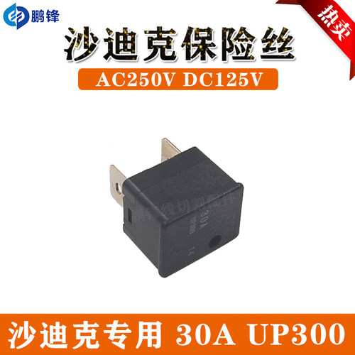 慢走丝沙迪克机保险丝30A UP300 保险盒 线切割配件AC250V DC125V