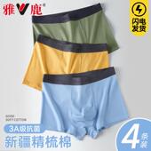 内裤 纯棉抗菌平角大码 中腰青少年男生运动透气短裤 雅鹿男士 衩裤 头