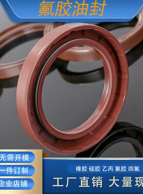 GB/T13871唇形密封圈FBTC型旋转氟胶骨架油封内径35mm外径45-55mm
