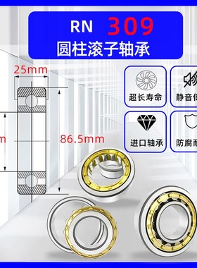日本进口圆柱滚子轴承RN306 307 308 309 310 312 313 328--ECM