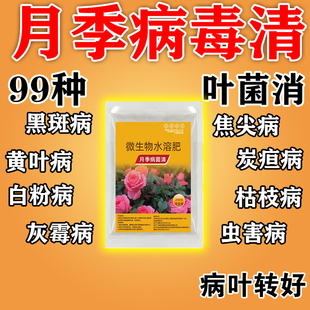 月季花黄叶黑斑病专用芍药玫瑰黑杆白粉掉叶黄叶营养液病虫害菌剂