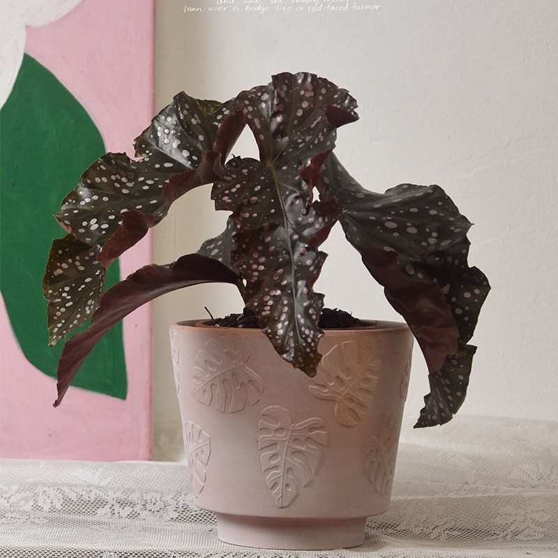 速发雾化多肉红陶花盆浮雕叶子复气简约透古室花内卉盆栽