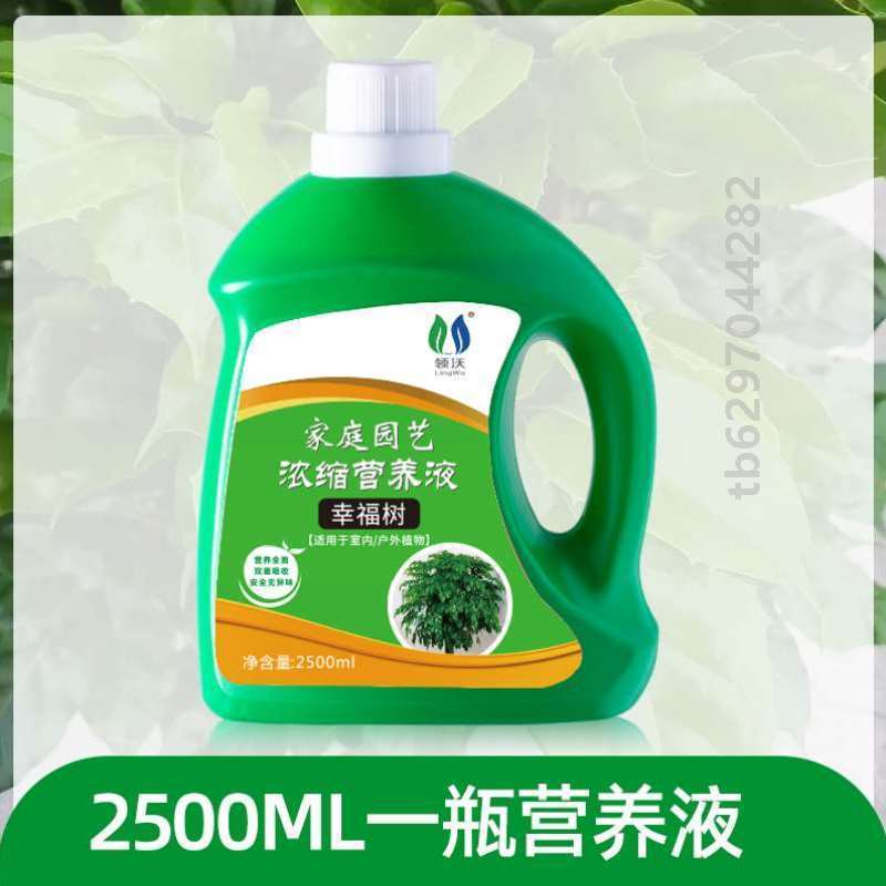 液花NAB5504卉绿盆景营养液有机肥兰花培种植家庭栽体绿萝水培植