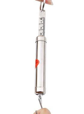 Silver mechanical spring scale tension scale 5kg load cell t