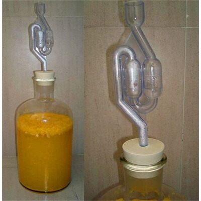 透明白色自酿葡萄酒果酒啤酒