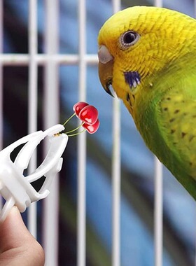 Bird vegetable clip fruit clip bird thumb box bird fruit for