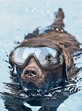 Pet goggles dog supplies goggles waterproof windproof sunscr