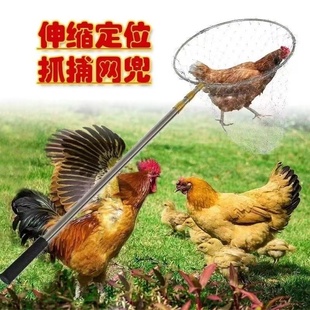 新款抓鸡神器户外捕捉鸡鸭全套网兜鸽子养殖场散养土鸡家禽伸缩杆