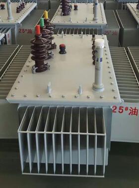 生产S22-100KVA-250KVA电力10KV6KV电力厂家