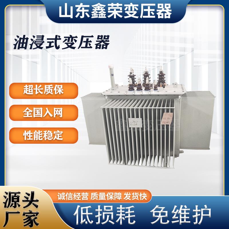电力变压器厂家/S13-800KVA10/0.4千瓦油浸式变压器生产厂家