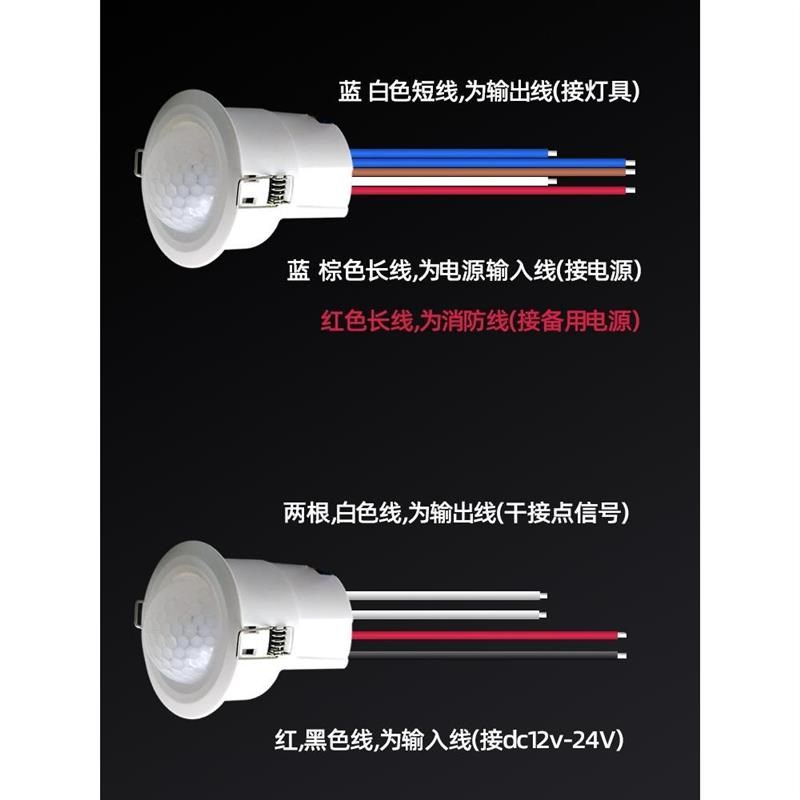 人体感应开关红外线传感器220V可调光感延时继电器12V干接点300W
