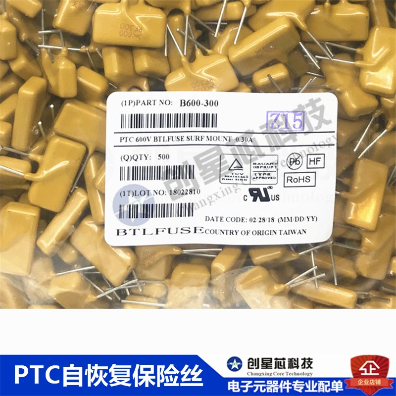 直插PPTC自恢复保险丝600V 0.3A 300mA  RXEF600 长方型