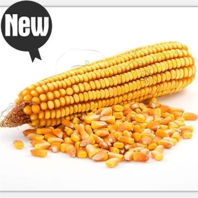 打包谷机 玉h米机手摇玉米脱粒机家用小型手动剥玉米器手工电动两