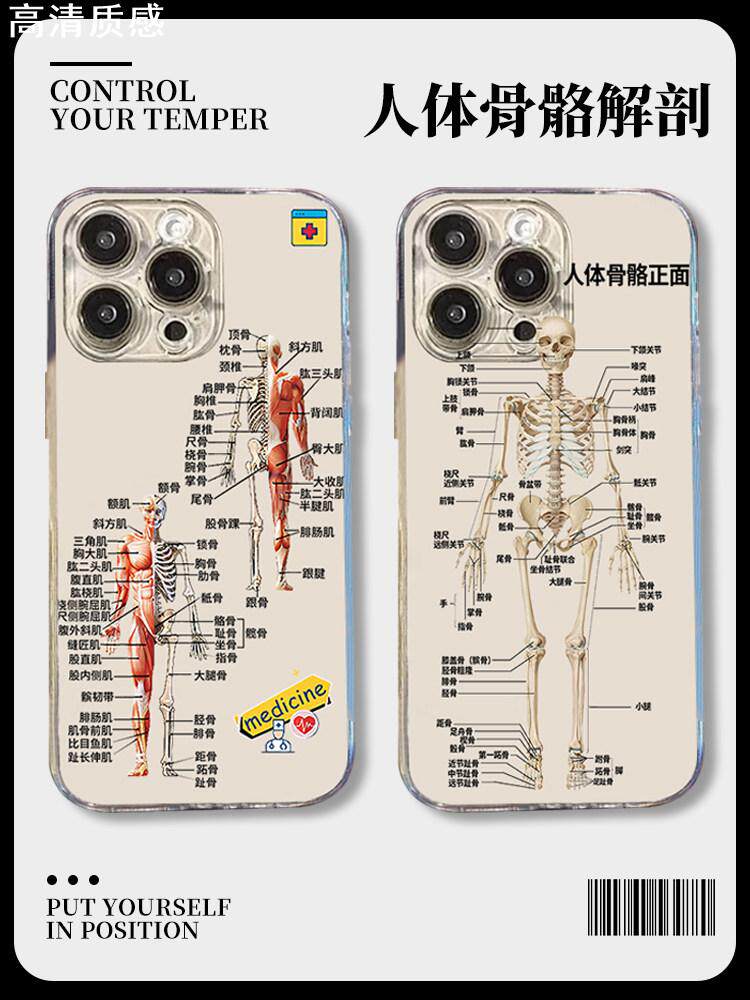 人体骨骼手机壳苹果15iPhone14解剖13promax正面医学生12医学11中医骨架8plus结构x专用xr硅胶xs新款ip7适用i