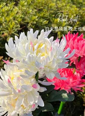 RH-542太能花防led仿真菊花灯户景外雨地阳插草坪灯庭院观装饰灯
