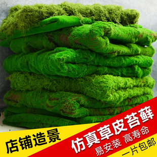 仿真苔藓草皮青苔造景地毯盆景铺设苔藓微景观绿植装饰品人工苔藓