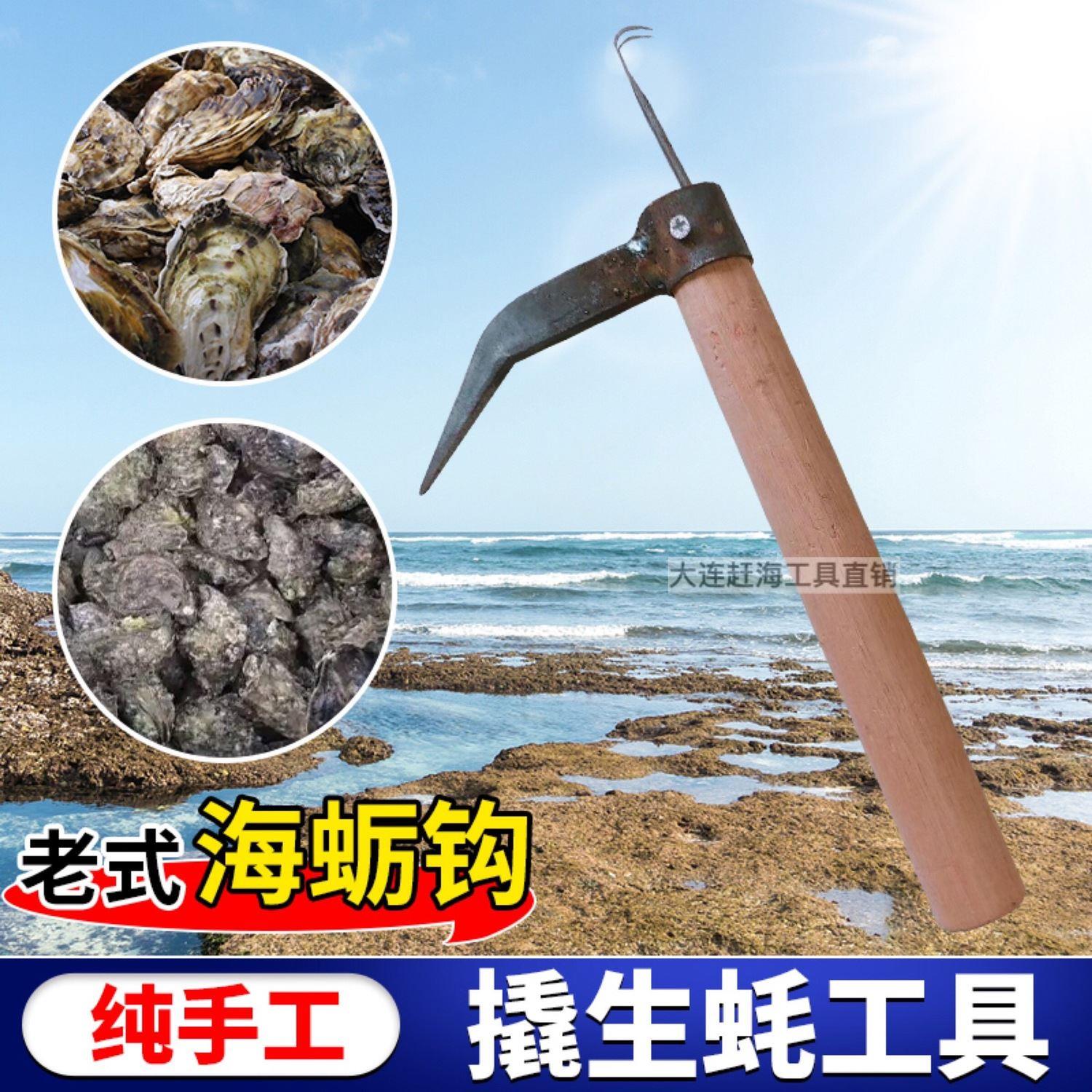 赶海工具 海蛎钩 生蚝刀 撬蚝刀 刨蛎肉 洋镐 耙子蛤蜊 蛎刀 新款