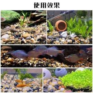 小石子铺底原生专景用造砂底砂装石饰头鱼VSK8427缸水族箱天然石