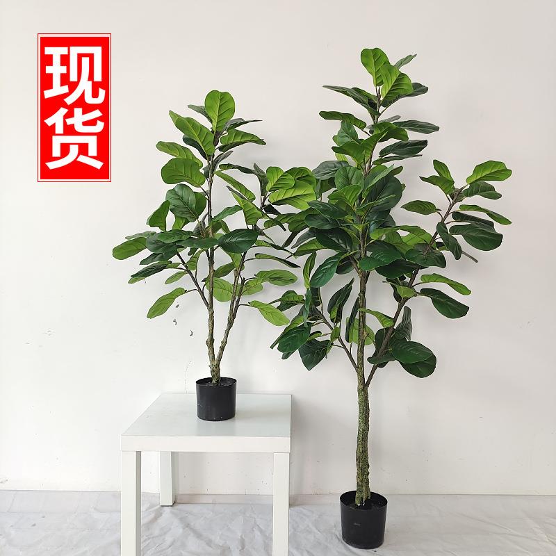 常青仿真植物装饰 北欧假绿植盆栽摆件仿真琴叶榕 粗杆加密 现货