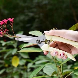 家用果树剪刀修枝神器剪花卉摘果剪树枝剪刀绿化嫁接园林园艺剪刀
