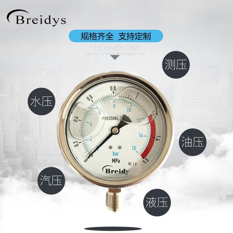 压力表YN100不锈钢耐震压力表测水压气压通用0-1.6/100Mpa多量程*