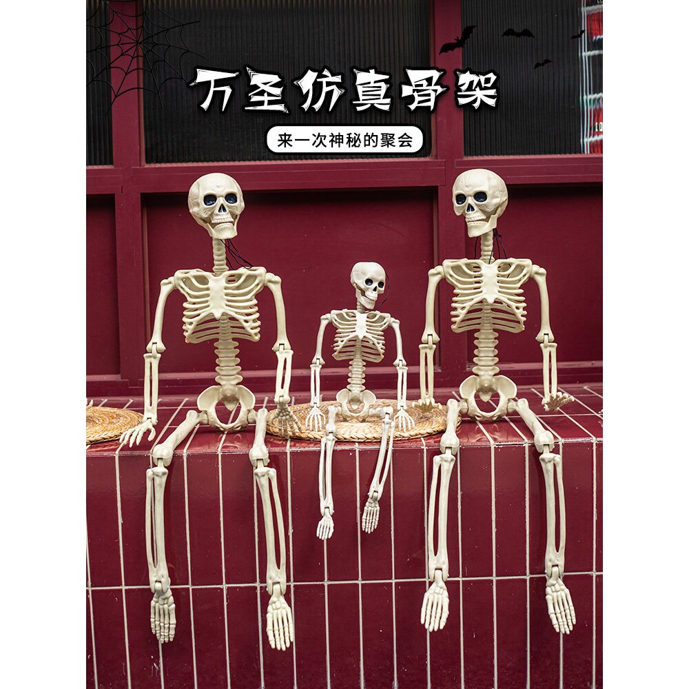 万圣节装饰品摆件仿真人体骷髅骨架动物蜘蛛密室场景布置装扮道具