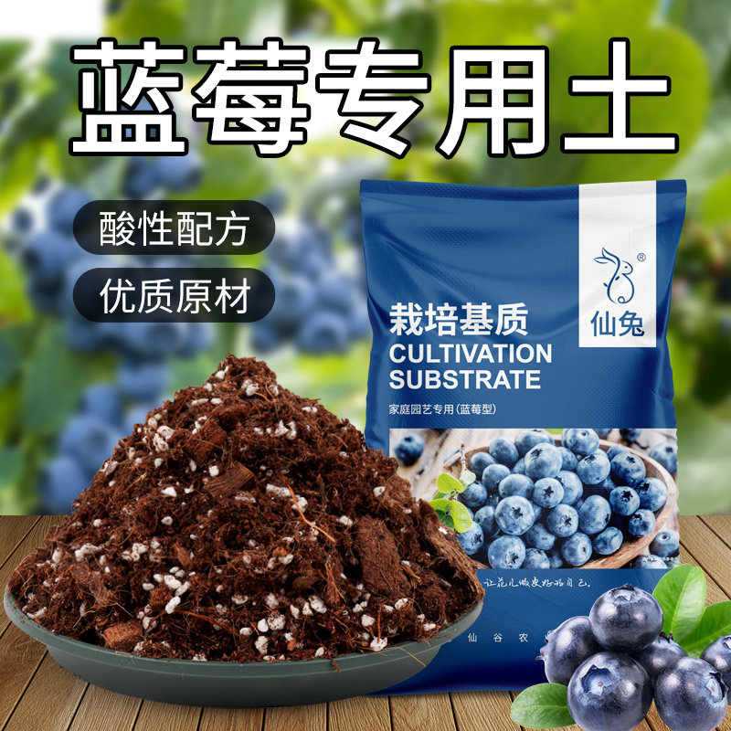 蓝莓专用土疏松透气酸性花土