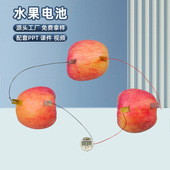 科技小制作科学实验水果发电锌铜片小学生小发明物理实验材料