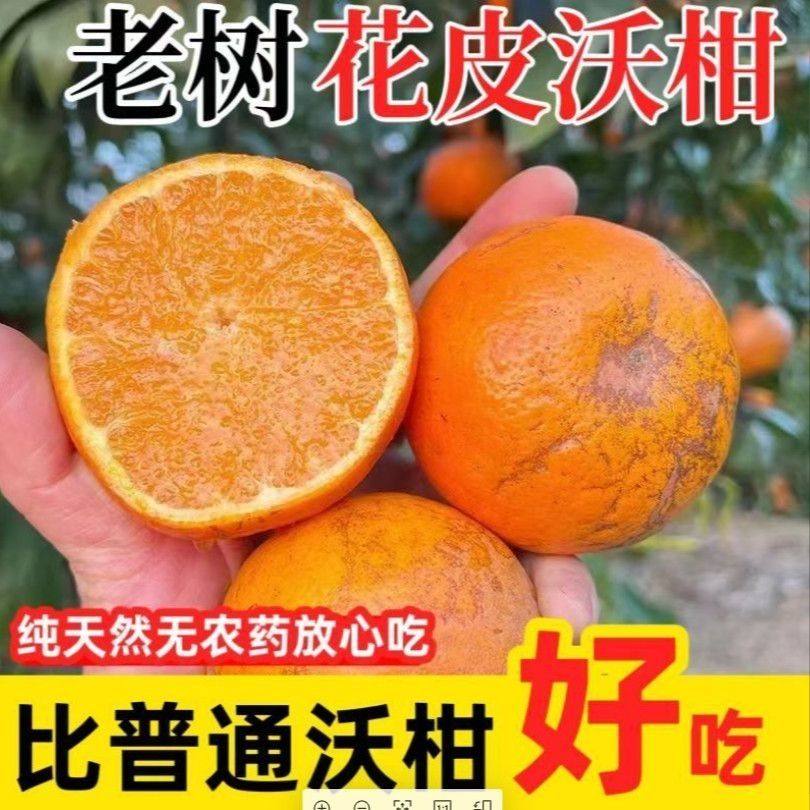 主播优选【花皮果】云南高山新鲜花皮沃柑超甜橘子新鲜水果,水产肉类/新鲜蔬果/熟食,桔子,淘宝优惠券,粉丝福利购,淘宝优惠卷
