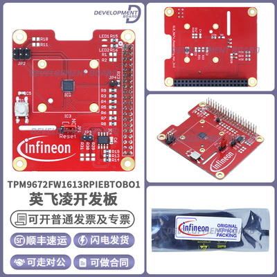 TPM9672FW1613RPIEBTOBO1开发板