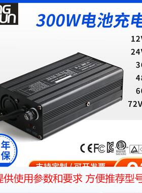 14.6V15A 29.2v10a 43.8v/58.4v/67.2v 4a磷酸铁锂离子电池充电器