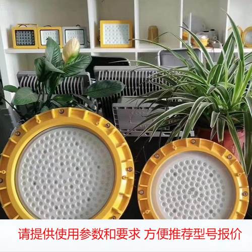 BZD隔爆型LED防爆灯 加油站吊杆壁挂灯50W100W 150W