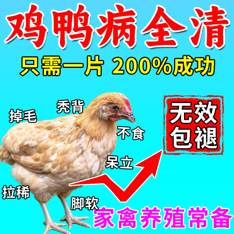 【速康一号】鸡病全治养鸡专用药特效药养殖场鸡鸭鹅用饲料添加剂