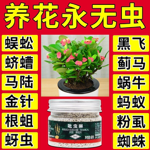 防虫颗粒小白药灭虫剂防虫专用药花卉蔬菜土壤室内黑飞杀虫颗粒剂