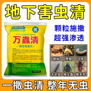 地下害虫菜地除虫撒施防虫颗粒瓜果蔬菜白菜油菜花菜甘蓝绿植强力