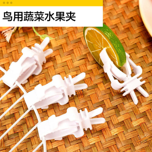 墨鱼骨夹子鹦鹉多功能蔬菜水果零食夹谷穗鸟笼坚果固定架塑料夹子