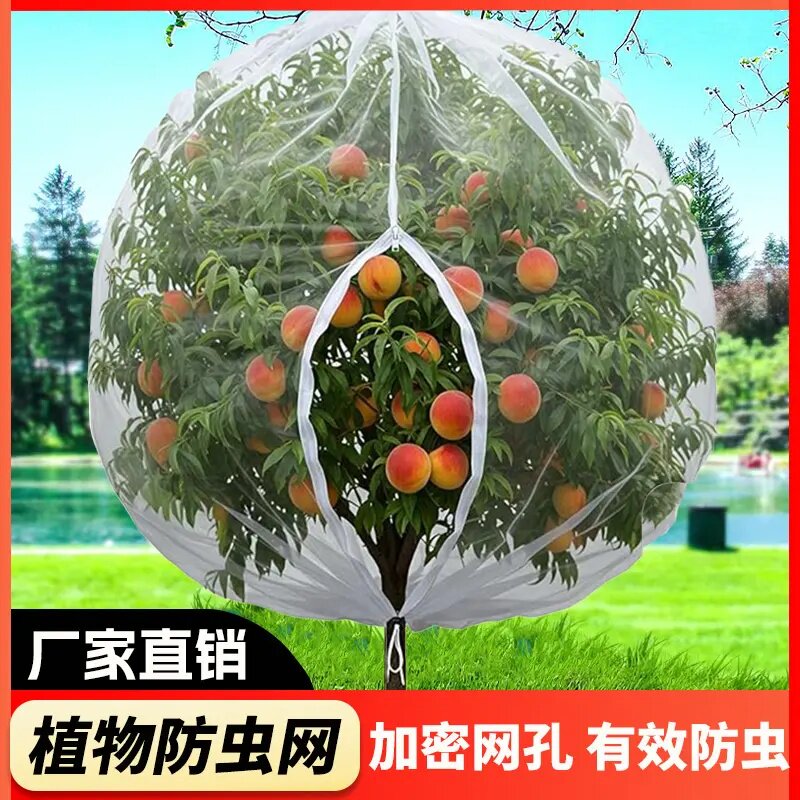 果树防虫网防鸟罩袋蓝莓杨梅莲雾水果番茄防果蝇防蚊透光透气阳台