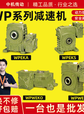 WPEKA WPEKS WPWEKO WPWEK 铁壳蜗轮蜗杆减速机变速齿轮箱波箱