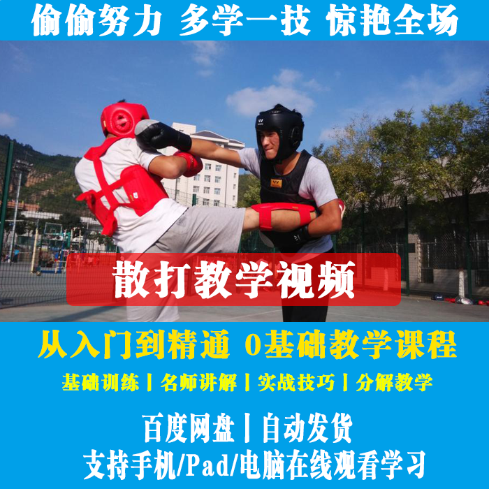 散打教学视频 散打基础教学视频素材 散打视频素材 散打实战技巧