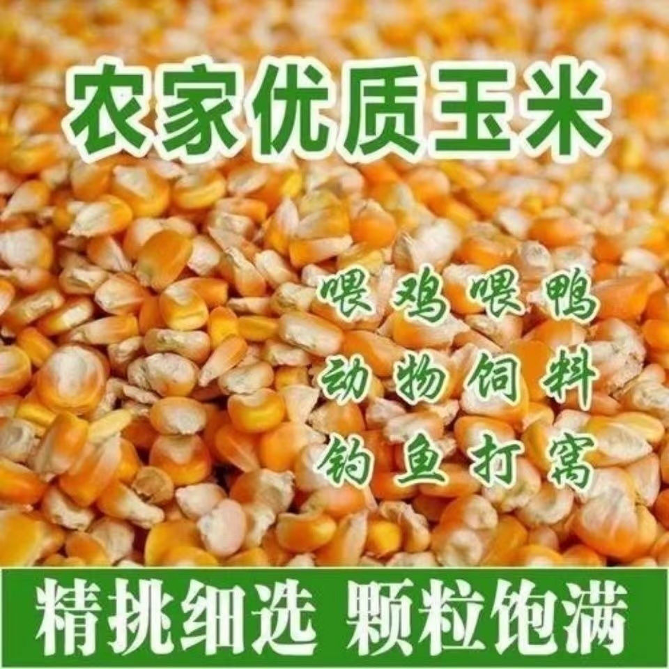 农家自种自销新鲜钓鱼饵饲料动物