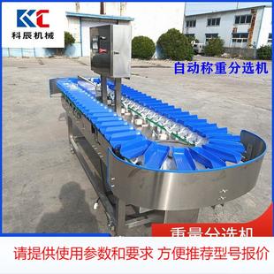 牡蛎重量分选机 海参海蛎子自动称重分选机 鸡爪分选机分拣机