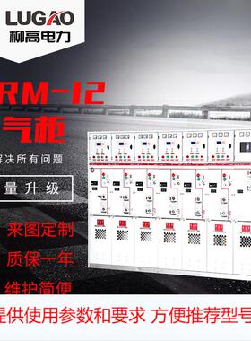 SRM-12全绝缘封闭高压气体环网柜 SF6六氟化硫配电柜 10KV充气柜