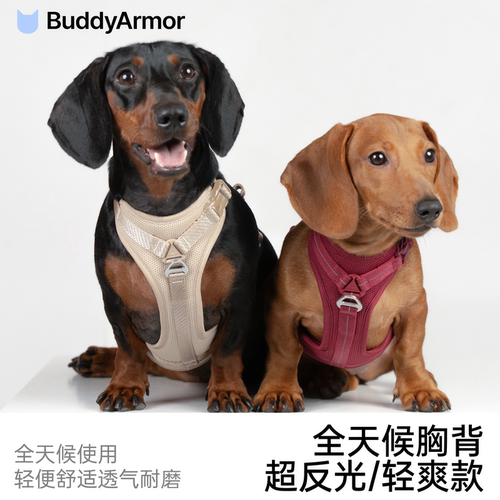 BuddyArmor全天候狗犬胸背带