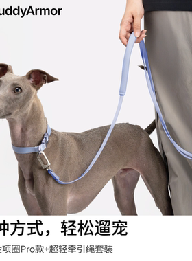 BuddyArmor狗小型犬牵引绳项圈轻便舒适出街外出遛弯遛狗