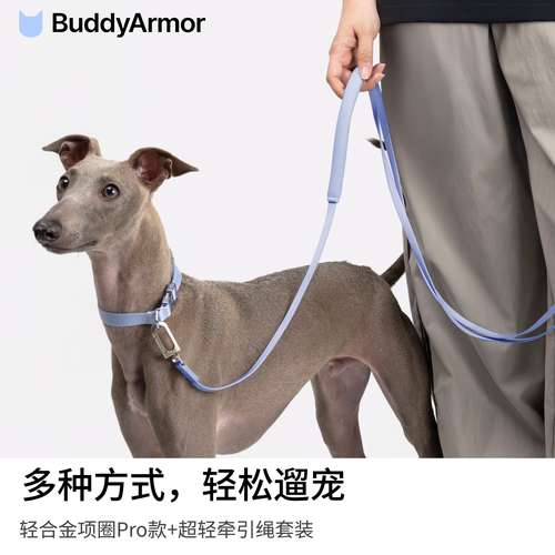 狗小型犬牵引绳项圈外出遛弯遛狗
