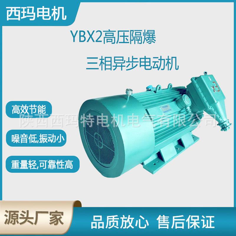 西安电机YBX2-5003-6极710W6V高压变频防爆三相异步电动机