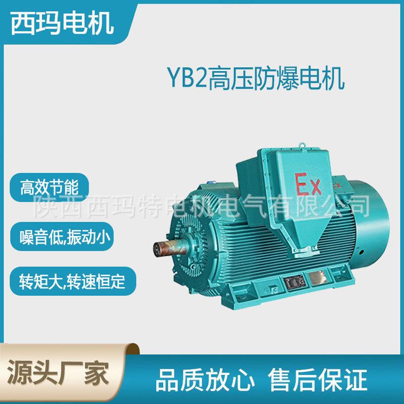 西安电机YB2-5602-10极450W10V高压防爆变频三相异步电动机