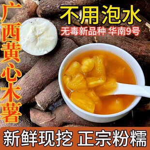 广西黄心木薯正宗现挖特产黄肉面包木薯羹糖水店蜜薯板栗农家粉糯