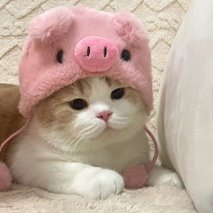 萌宠猫咪毛绒帽子可爱小猪头套帽子小狗头饰宠物变装拍照道具神器